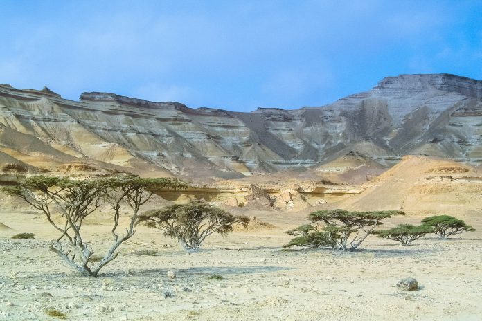 Das Wadi Shuwaymiyah gehört zu den schönsten Wadis im Oman, ist jedoch aufgrund seiner abgeschiedenen Lage in kaum einem Reiseführer erwähnt - © FRASHO / franks-travelbox