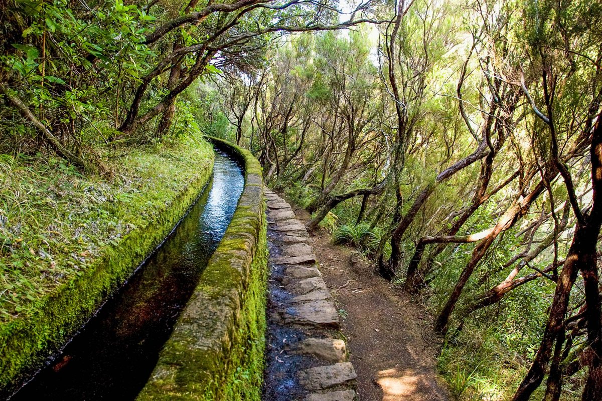 Einer der „Levadas“ in Madeira (künstlich angelegte in Beton eingefasste Rinnsale), die zu Bewässerungszwecken die gesamte Insel wie ein Netz überspannen, Portugal - © sokolovsky / Shutterstock