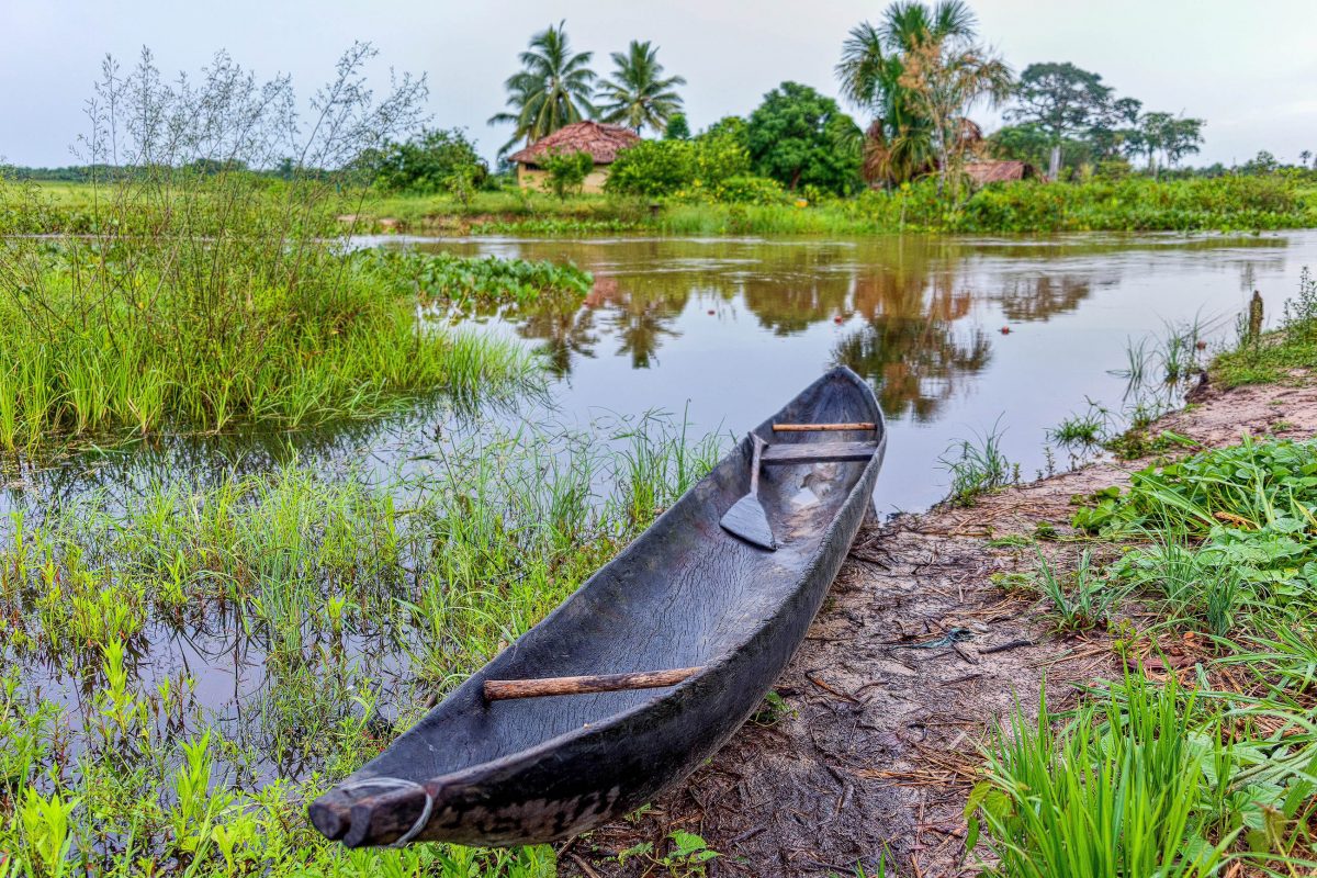 Das faszinierende Orinoco Delta ist der Parade-Dschungel von Venezuela und garantiert exotische Naturerlebnisse - © Vadim Petrakov / Shutterstock