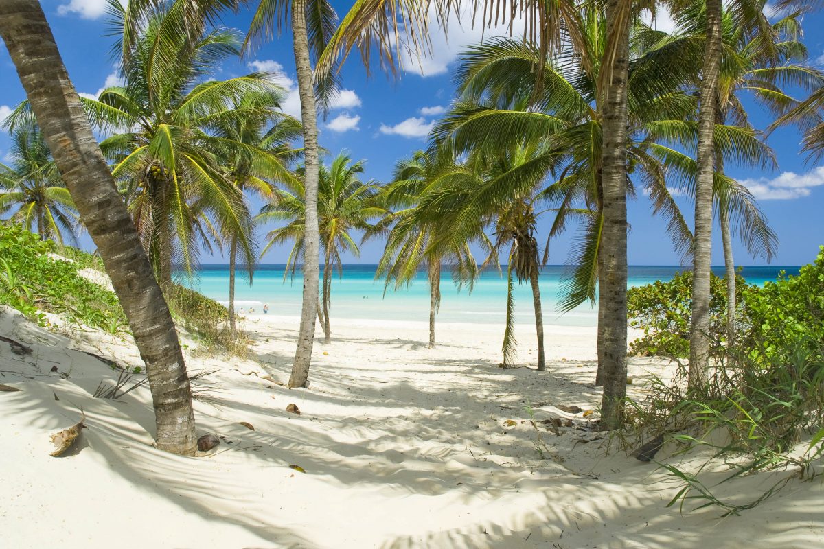 Die 6.000km lange Küstenlinie Kubas bietet mehrere hundert paradiesische Strände mit weißem Sand und ruhigem, türkisblauem Meer - © DUSAN ZIDAR / Shutterstock