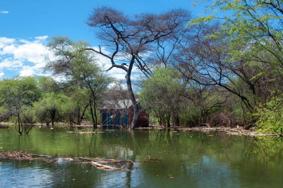 Die weitläufige Wasserfläche des Baringo-Sees in Kenia mit der interessanten Vegetation an seinen Ufern bietet vor allem bei Sonnenuntergang traumhafte Fotomotive - © Byelikova Oksana / Shutterstock