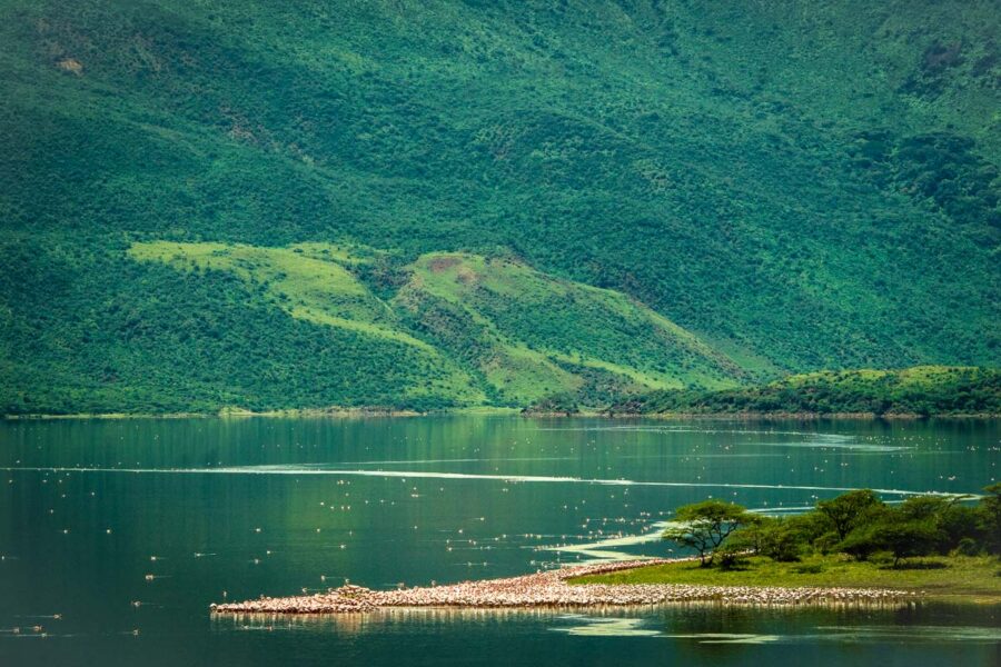 Die unzähligen Flamingos überziehen den Bogoria-See im Herzen Kenias mit einer flauschigen, rosa Decke - © Bartosz Budrewicz / Shutterstock