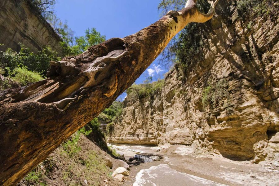 Im Süden des Naivasha-Sees liegt der kleine Hell’s Gate-Nationalpark, der sich um die rötlich gefärbte Schlucht Njorowa Gorge  ausbreitet, Kenia - © hakuna_jina / Shutterstock