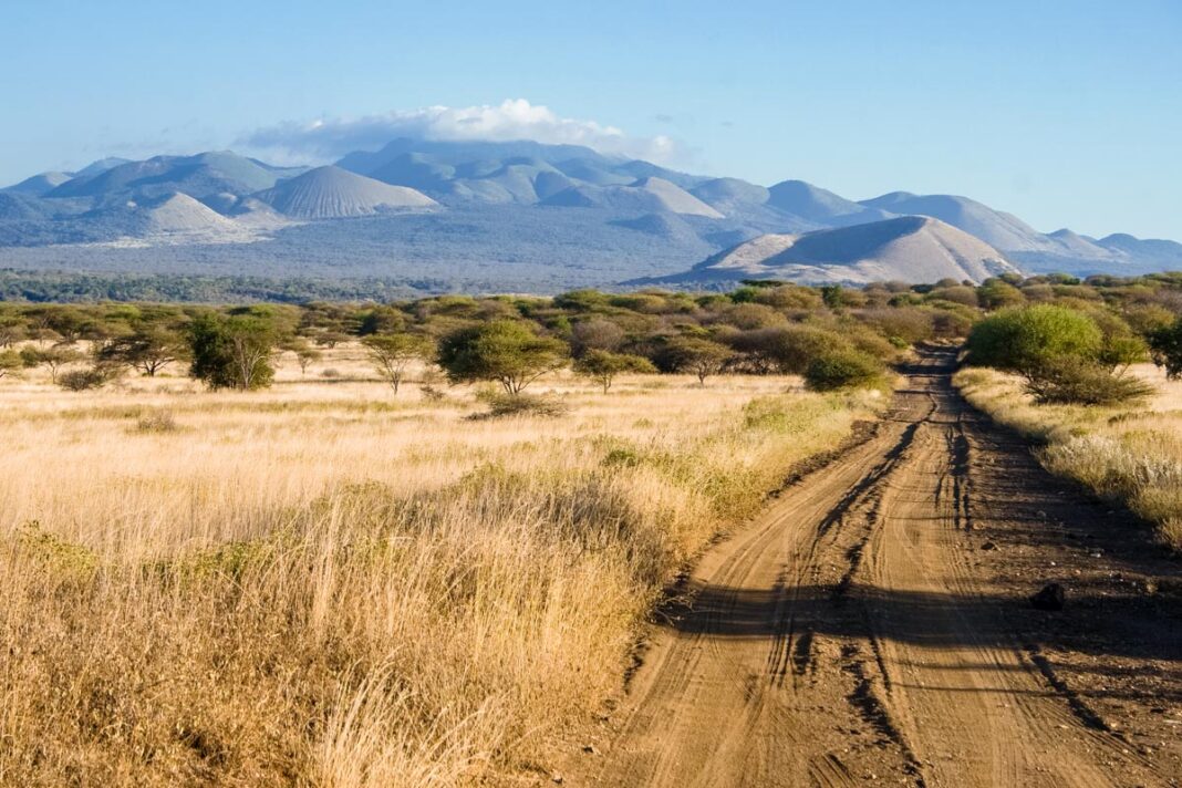 Die typische Landschaft in den Tsavo-Nationalparks in Kenia inspirierte schon die Zeichenprofis von 