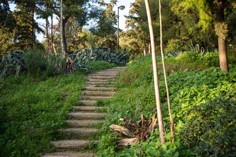 Der Fußweg auf den Lykavittos, den Hausberg Athens, führt auf verschlungenen Pfaden durch idyllische Natur, Griechenland - © James Camel / franks-travelbox