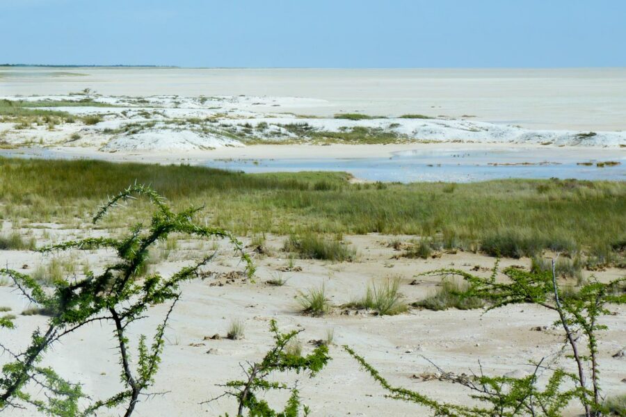 Blick in die Etosha-Salzpfanne mit einer Länge von 130 und einer Breite von 70km im gleichnamigen Etosha-Nationalpark, Namibia - © FRASHO / franks-travelbox