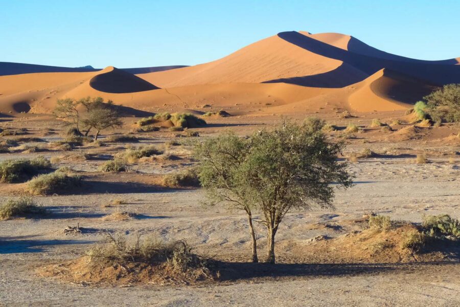 Wer in der Dünenlandschaft des Sossusvlei unterwegs ist, sollte unbedingt die Chance nutzen und eine Düne besteigen, Namibia - © FRASHO / franks-travelbox