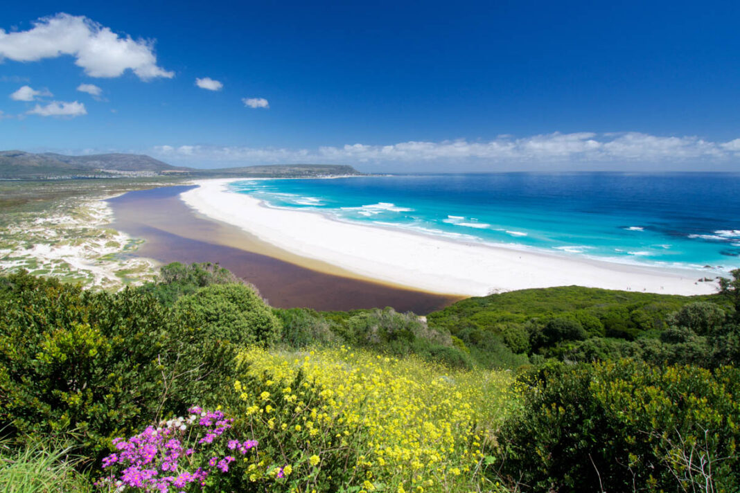 Das gewaltige Naturschutzgebiet Cape Floral im südwestlichen Südafrika gilt als Region mit der weltweit vielfältigsten Flora der Welt - © Neil Bradfield / Shutterstock