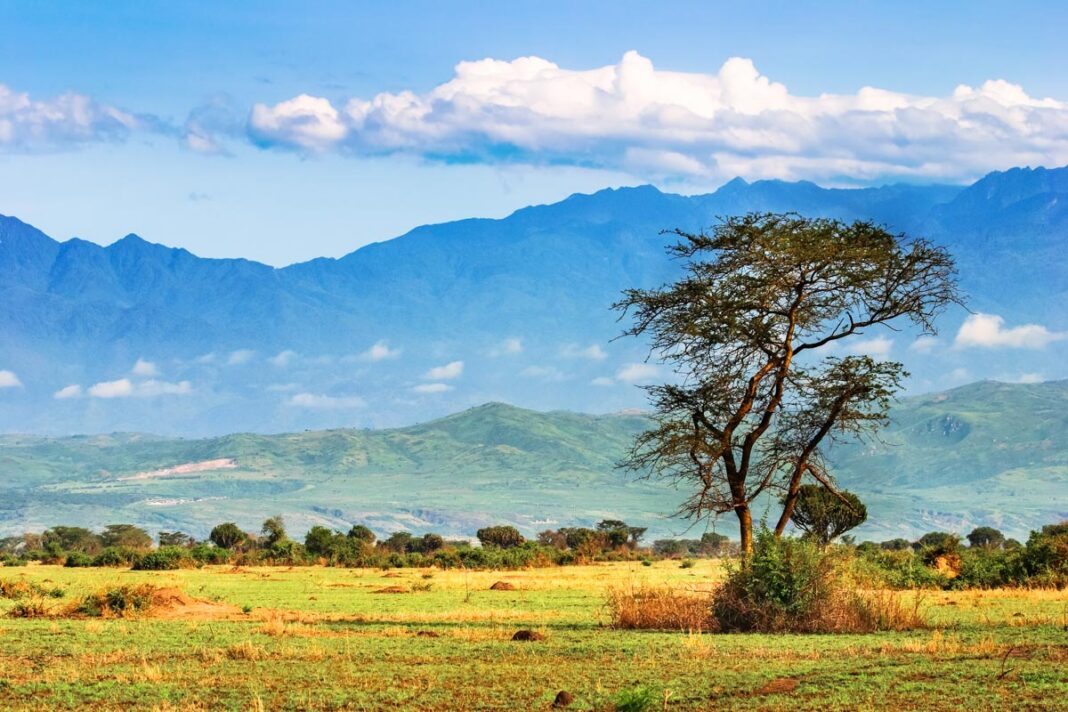 Afrikanische Savanne und die Ruwenzori-Berge im Hintergrund, Uganda - © Pichugin Dmitry / Shutterstock