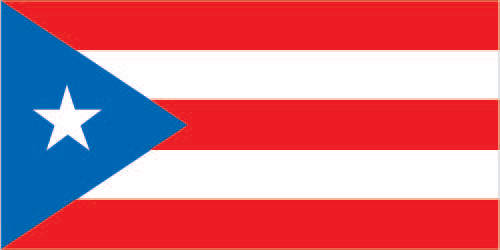 Flagge-Puerto-Rico-rq-lgflag