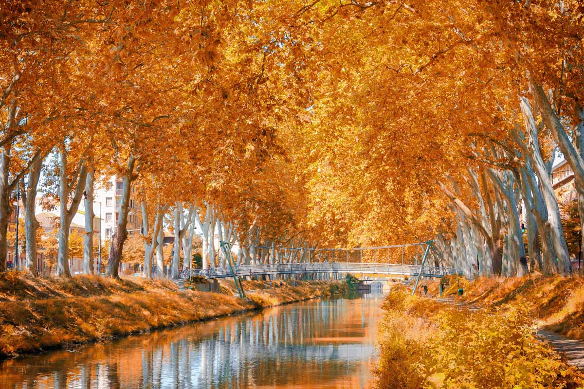 Als architektonische Meisterleistung, die sich harmonisch in die Natur einfügt, wurde der Canal du Midi im Süden von Frankreich zum Weltkulturerbe erklärt
