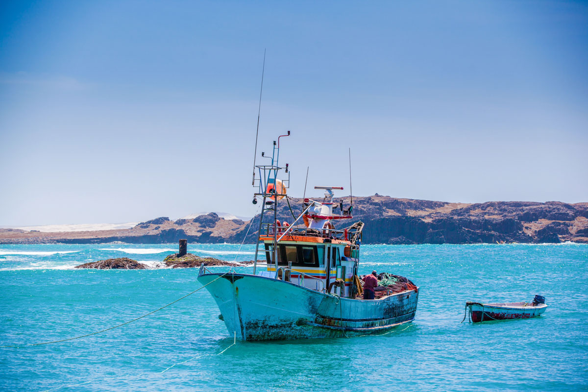 Im Hafen von Sal Rei ankern unzählige Fischkutter und starten von hier aus Ihre Fangfahrten, Boa Vista, Kap Verde