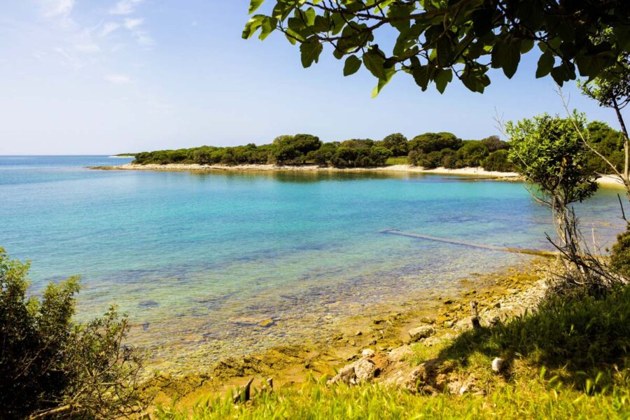 Der Nationalpark Brijuni vor der Halbinsel Istrien ist ein beliebtes Tagesausflugsziel für Kroatien-Urlauber im berühmten Städtchen Pula - © Henrique Daniel Araujo / Shutter