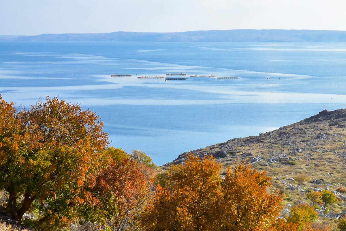 Blick von der Küstenstraße von Senj nach Maslinica auf das Meer, im Hintergrund die Insel Pag, Kroatien