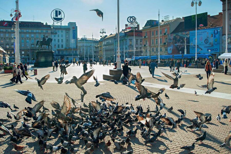 Taubenschar am Ban Jelačić-Platz, dem beliebtesten Platz von Zagreb, Kroatien - © joyfull / Shutterstock