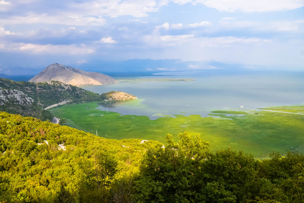 Der Skadar-See wird durch eine Vielzahl von unterirdischen Zuflüssen aus dem umliegenden Bergland gespeist; diese kühlen Quellen verhindern, dass der See im Sommer zu warm wird und kippt, Montenegro