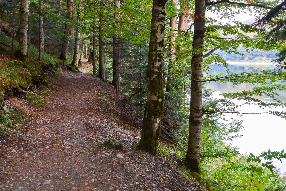 Die Urwälder um den Gletschersee Biogradsko Jezero können auf einem bequemen, 3,5km langen Wanderweg erkundet werden, der um den See führt, Montenegro