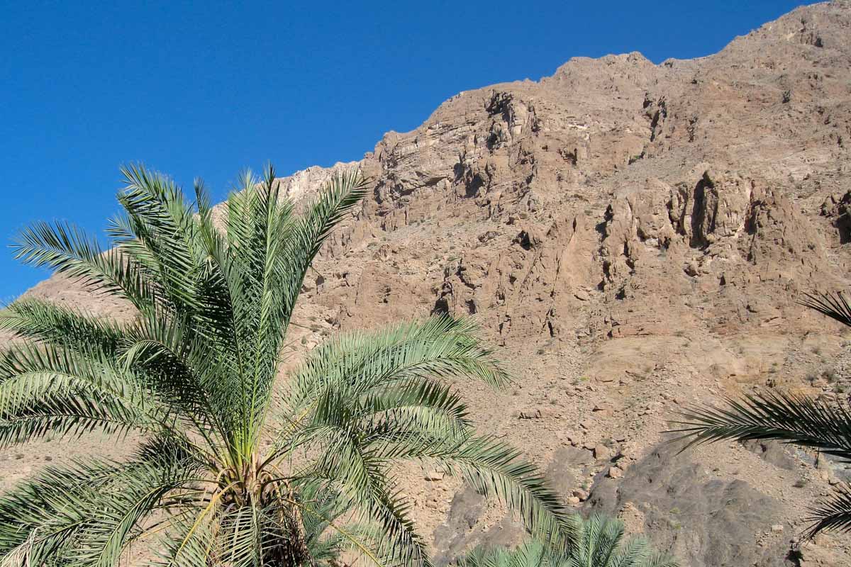 Die Vegetation im Wadi Tiwi ist ebenso so üppig wie im Wadi Shab und bildet einen interessanten Kontrast zu den schroffen Felsen des Wadis, Oman