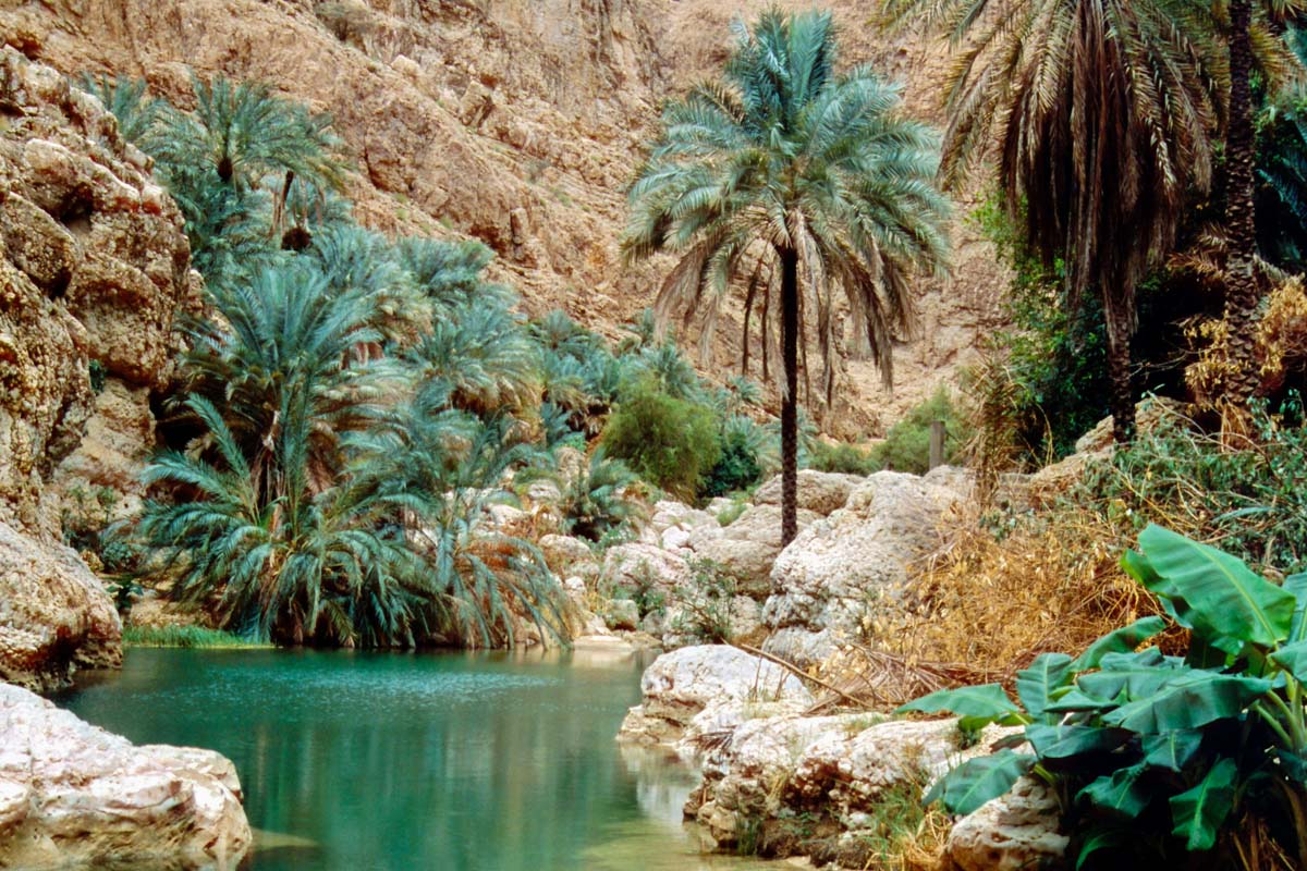 Nach einer etwa 20minütigen Wanderung durch lauschige Gärten und üppige Vegetation erreicht man den spektakulärsten Teil des Wadi Shab, Oman