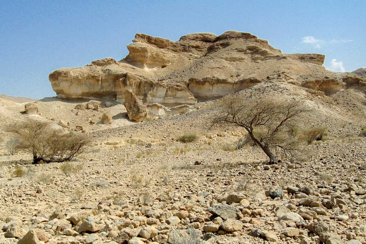 Auf der Fahrt vom Wadi Dhayqah zum Wadi Suwayh fährt man durch eine bizarre wüstenartige Landschaft, Oman