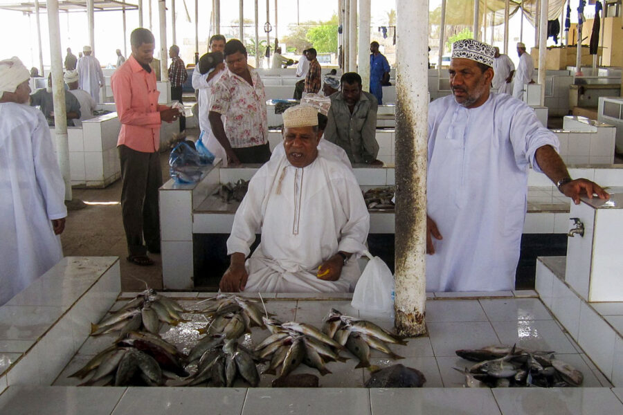 Neben der Festung von Barka, findet jeden Vormittag am Strand ein ausgelassener Fisch- und Gemüsemarkt statt, Oman - © Stefan Krasowski CC BY2.0/W