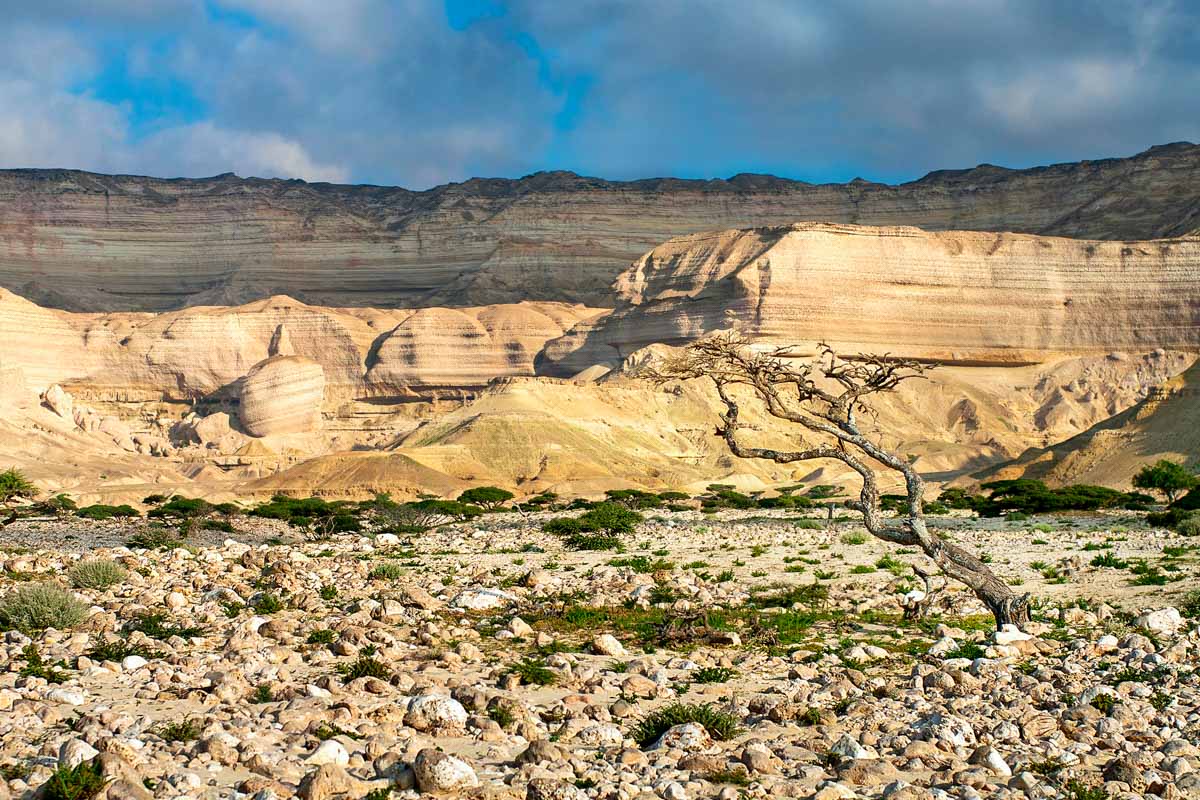 Das eindrucksvolle Wadi Shuwaymiyah an der Ostküste zählt zu den spektakulärsten Wadis im Oman
