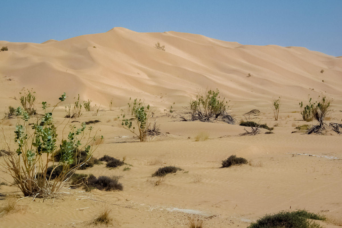 Die Rub al-Khali im Süden der arabischen Halbinsel ist mit einer Fläche von rund 780.000km2 die größte Sandwüste der Welt