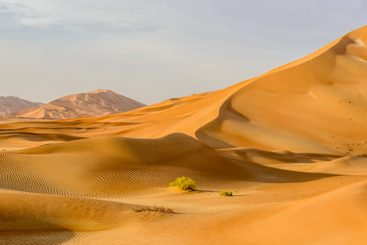 Die scheinbar endlosen Sanddünen der Wüste Rub al-Khali erreichen im Oman eine Höhe von über 200 Metern
