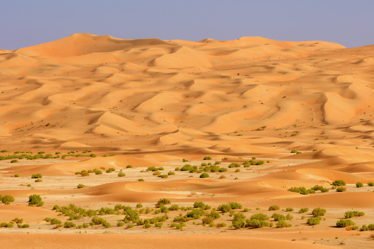 Die gewaltige Sandwüste im südlichen Oman macht ihrem Namen „Leeres Viertel“ alle Ehre, denn in der Rub al-Khali lebt tatsächlich kaum eine Menschenseele