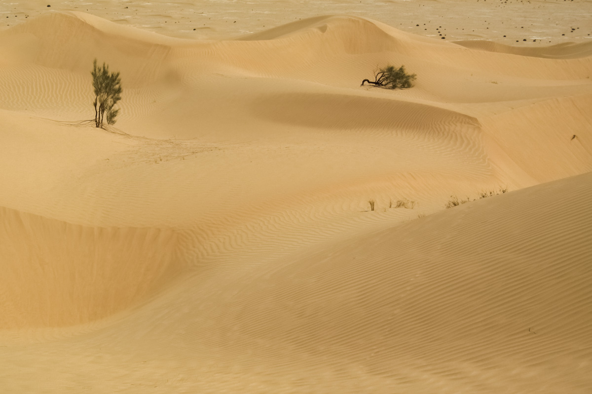 An einem unbestimmten Zeitpunkt in der Vergangenheit schlug ein mächtiger Meteorit in die Rub al-Khali ein, dessen Krater noch immer nicht ganz verschwunden sind, Oman