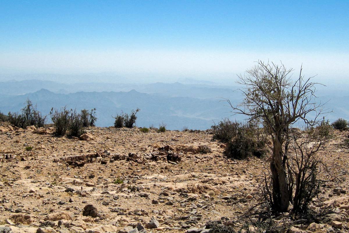 Am Saiq-Plateau im Oman kann man in einer atemberaubenden Kulisse mit spektakulärer Aussicht auch im Hochsommer eine angenehme Kühle genießen