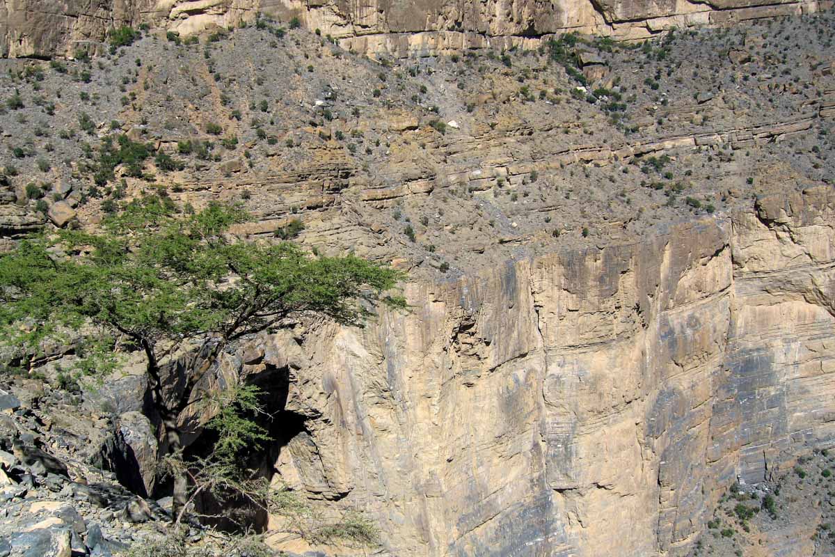 Die jäh abfallenden Steinwände in der 1.000 Meter tiefen Wadi Nakhar Schlucht erfordern absolute Schwindelfreiheit, Oman