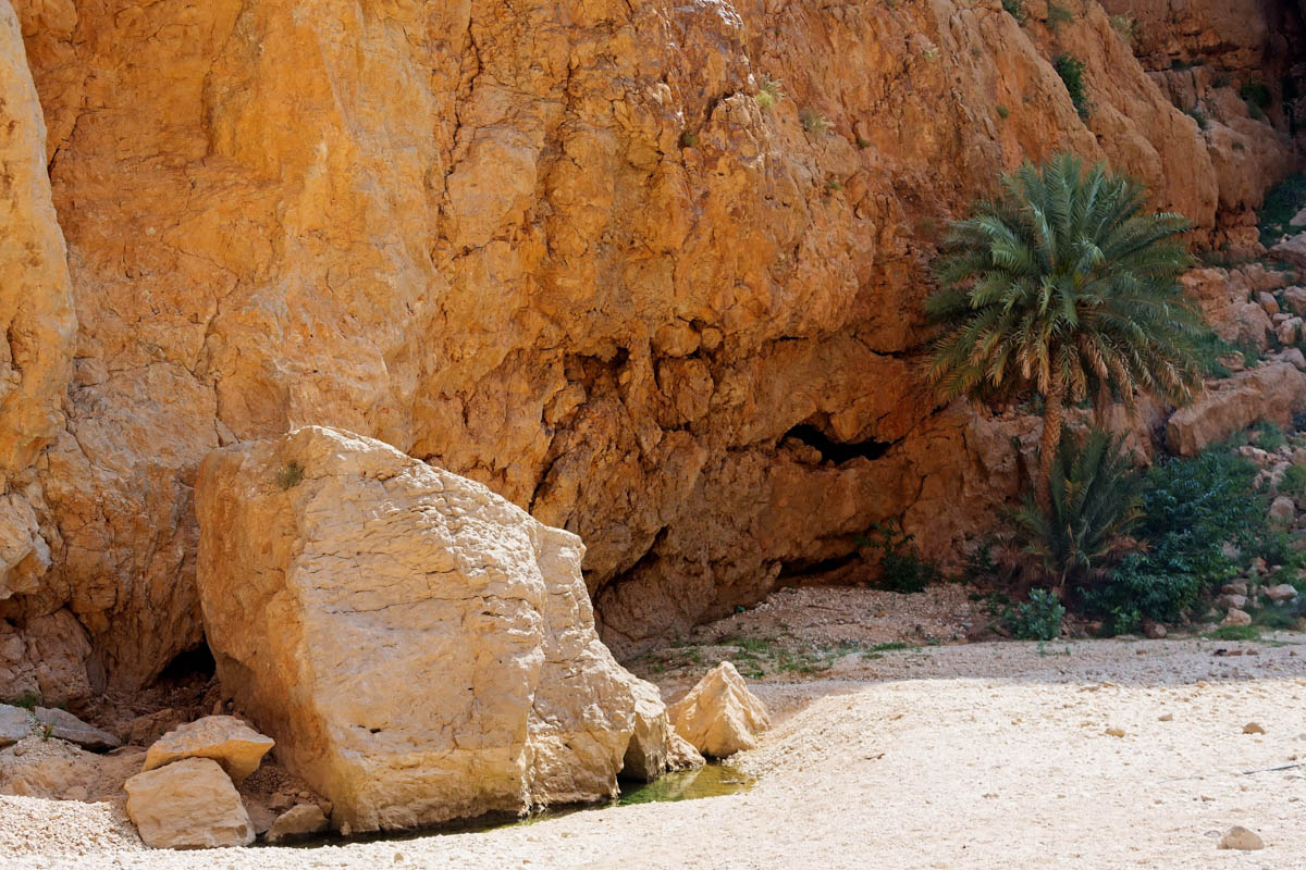 Nach einer etwa 20minütigen Wanderung durch lauschige Gärten und üppige Vegetation erreicht man schon den spektakulärsten Teil des Wadi Shab, Oman
