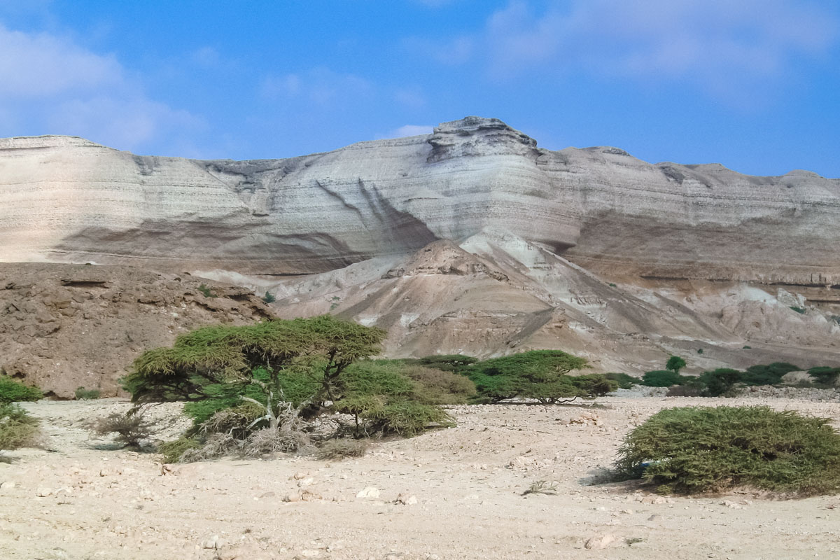 Steile Wände, überhängende Klippen und bizarre Felsen findet man im Wadi Shuwaymiyah, Oman