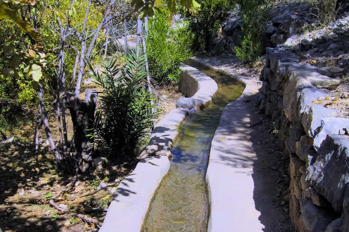 Zwischen den zahlreichen Walnuss-, Pfirsich- und Granatapfelbäumen kommt man sich vor, als hätte man in der omanischen Gebirgswüste einen geheimen Garten entdeckt