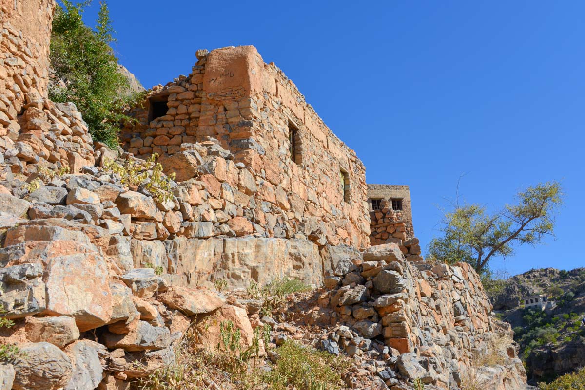 Die verlassenen Lehmhäuser im Wadi bani Habib werden nach und nach von wiederstandsfähigen Pflanzen überwuchert, Oman