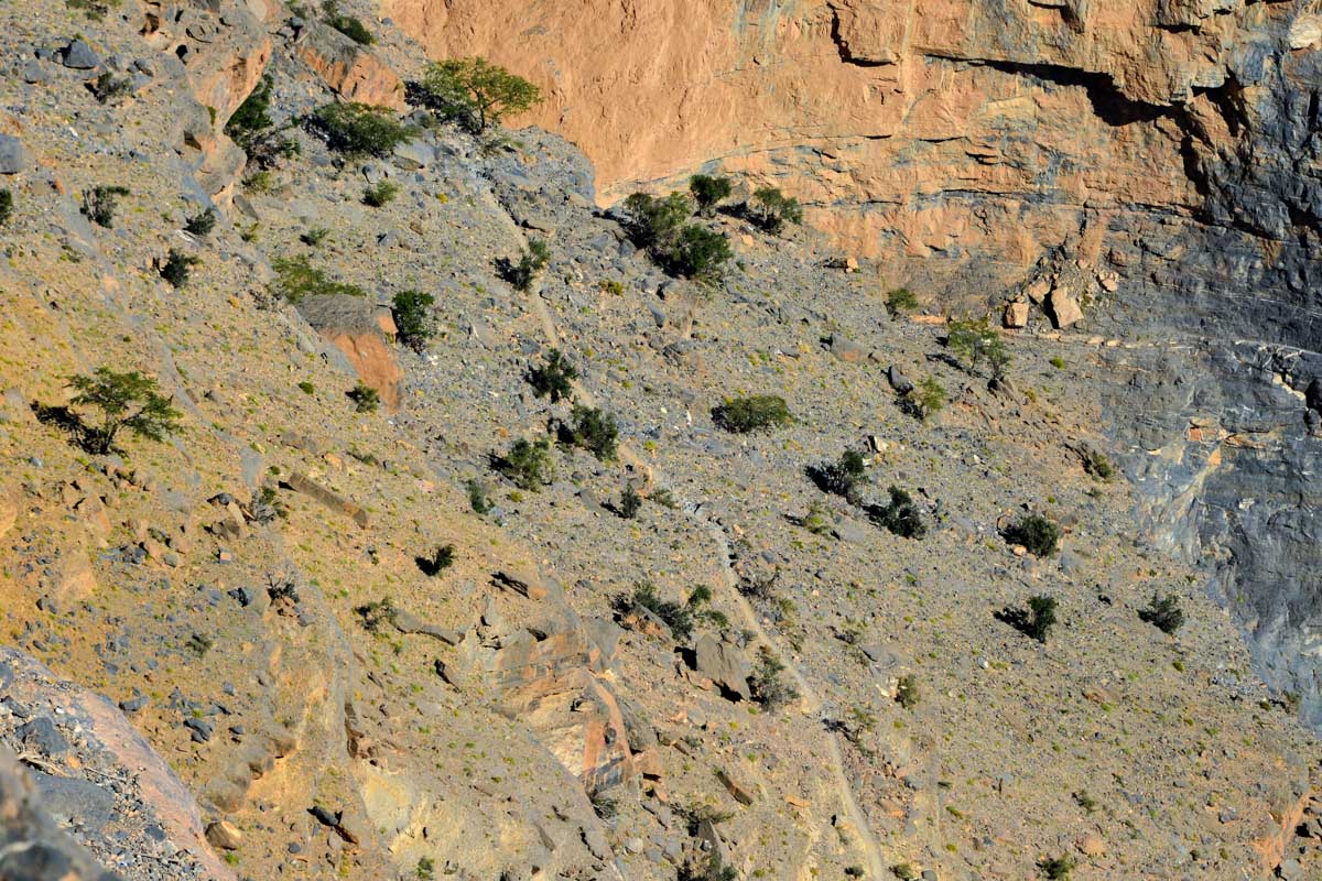 Der steinige Wanderweg durch das Wadi Nakhar erfordert festes Schuhwerk und ausreichend Trinkwasser-Vorräte, Oman