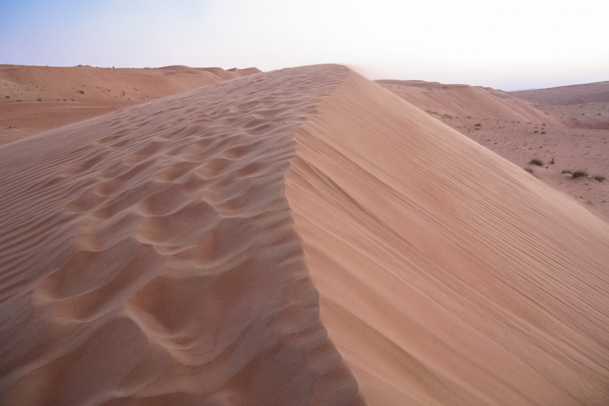 Die Dünen verlaufen parallel zueinander in Nord-Süd-Richtung, Wahiba Sands, Oman