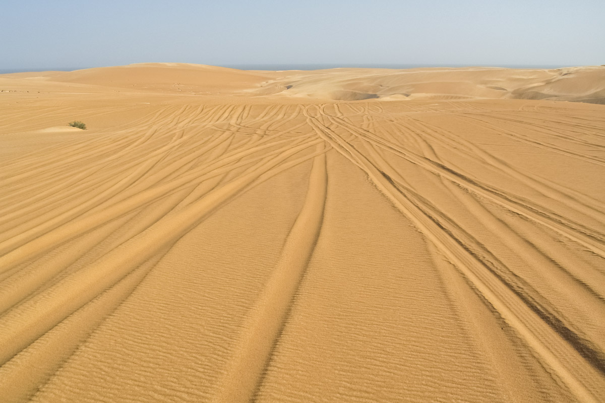 Sanddünen erstrecken sich, soweit das Auge reicht, keine Menschenseele ist zu sehen - nur einige alte  Auto-Spuren - und die Stille der Wüste lässt sich förmlich greifen, Wahiba Sands, Oman - © FRASHO / franks-travelbox