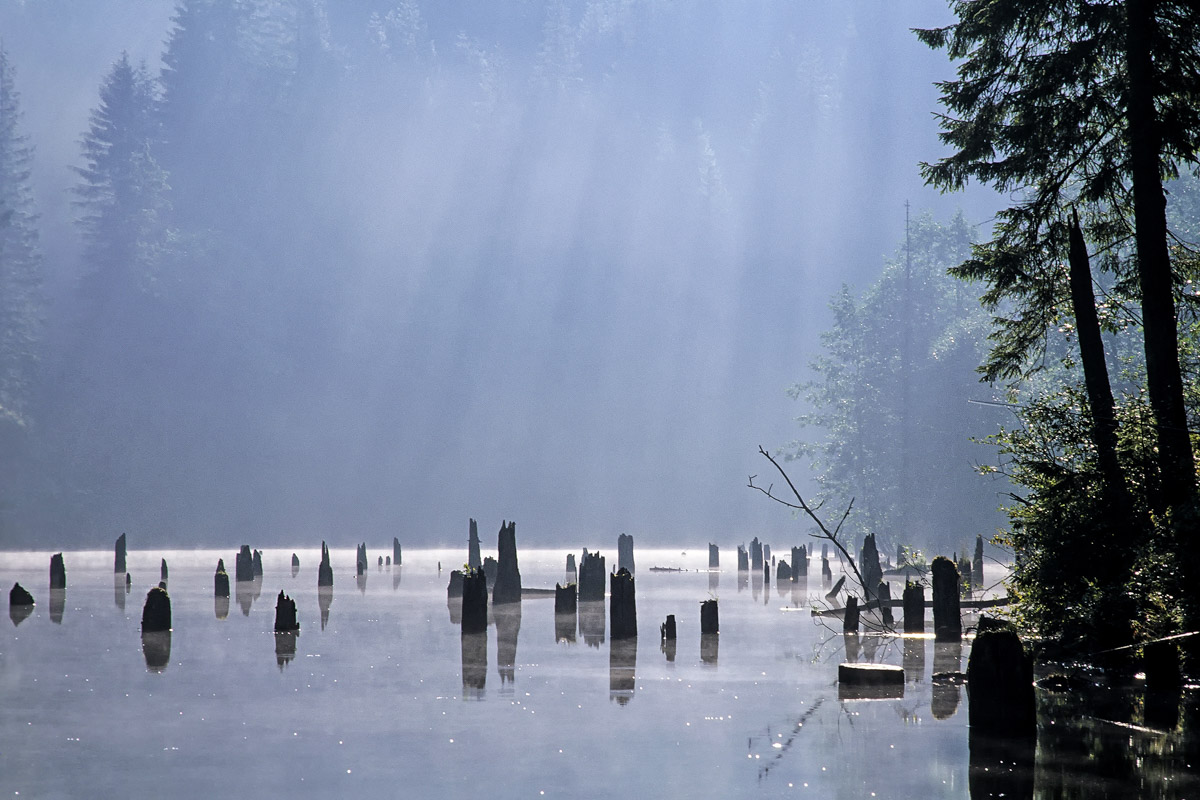 Der Lacul Roşu entstand im Jahr 1837 durch einen massiven Felsrutsch, der nicht nur Erdreich sondern gleich einen ganzen Wald mit sich riss, Rumänien