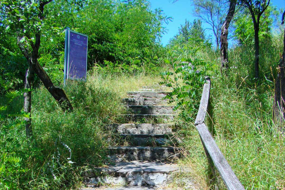Der Weg zur UNESCO-Weltkulturerbe-Kirche von Bârsana führt durch dichte Vegetation, Rumänien
