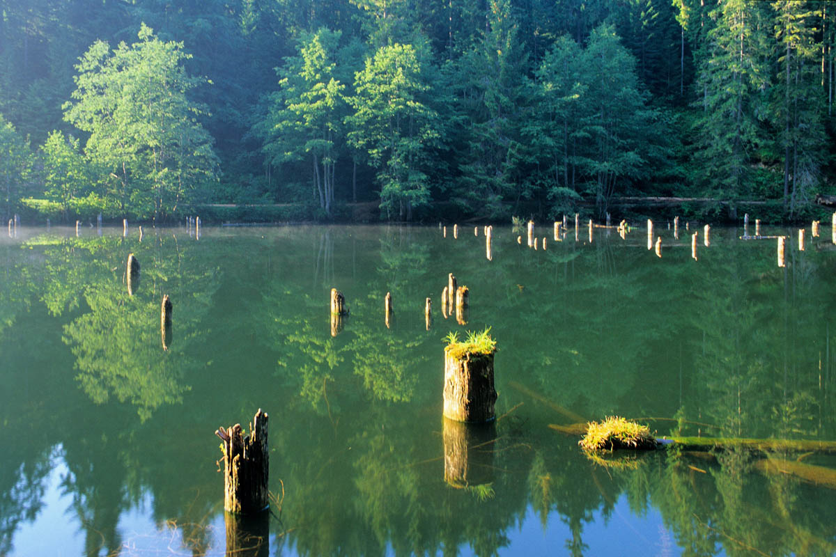 Rund um den idyllischen See liegt der Nationalpark Bicaz-Klamm/Haşmaş-Gebirge, der auf knapp 20 markierten Wanderwegen erforscht werden kann, Rumänien