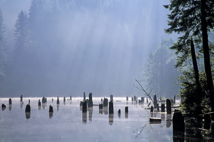 Der Lacul Roşu entstand im Jahr 1837 durch einen massiven Felsrutsch, der nicht nur Erdreich sondern gleich einen ganzen Wald mit sich riss, Rumänien - © Baciu / Shutterstock