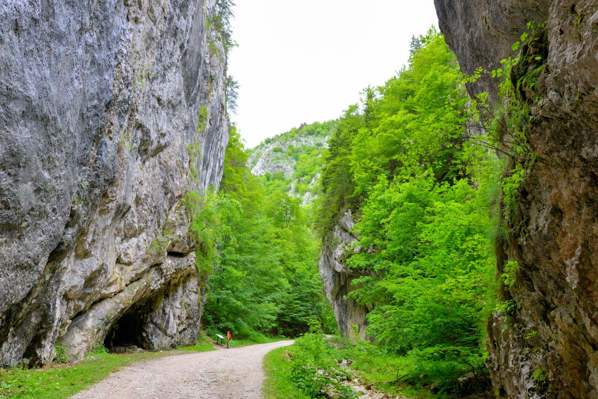 Der Nationalpark Piatra Craiului im zentralen Rumänien beherbergt einen der mächtigsten Gebirgskämme Europas und kann auf über 30 Wanderwegen erforscht werden