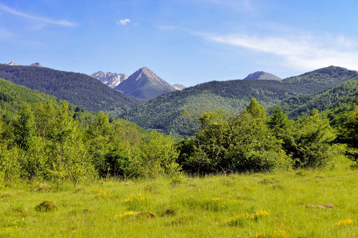 Als UNESCO-Biosphärenreservat beeindruckt der Nationalpark Retezat in den Karpaten Rumäniens mit idyllischen Gletscherseen und einer fantastischen Artenvielfalt