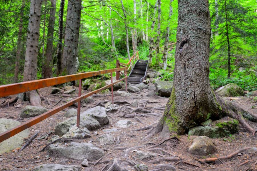 Die Wanderwege durch den Nationalpark Retezat in Rumänien sind alle touristisch gut erschlossen und ausgezeichnet beschildert - © FRASHO / franks-travelbox