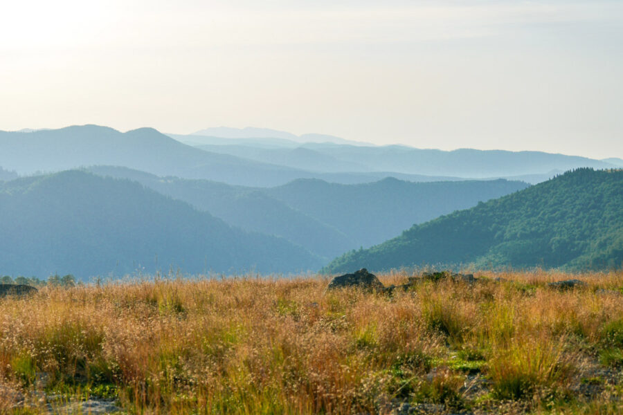 Über karge Vegetation aus Gras und Geröll schweift der Blick von der Panoramastraße Transalpina über bläulich schimmernde Bergketten in schier unendliche Weiten, Rumänien - © FRASHO / franks-travelbox