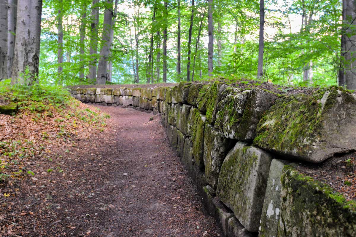 Der ehemalige Festungsbereich der ehemaligen Daker-Hauptstadt Sarmizegetusa Regia liegt direkt im idyllischen „dakischen Wald“, Rumänien