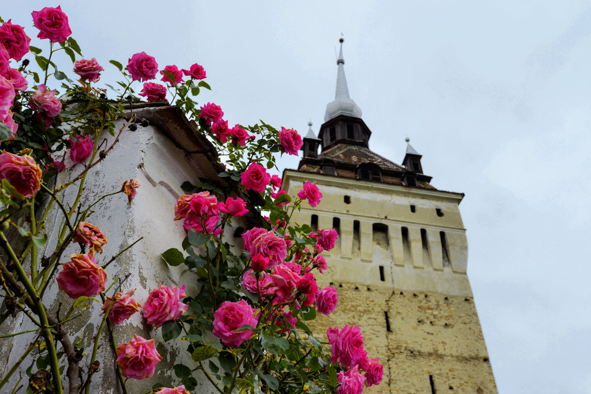 Die Wehrkirche von Saschiz in Transsilvanien, heute Weltkulturerbe, stammt aus der Zeit der Türkenkriege in Rumänien