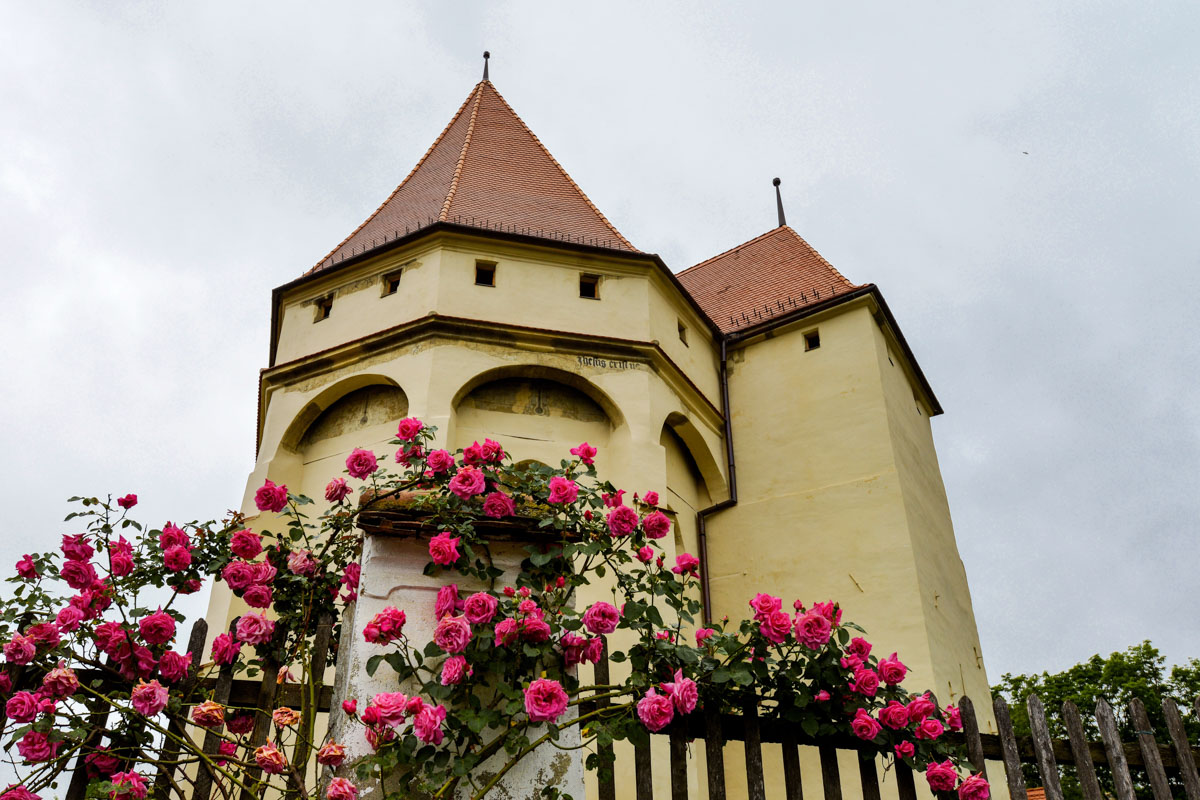 Die Kirchenburg in Saschiz aus dem späten 15. Jahrhundert verlieh dem Ort einen Eintrag in der UNESCO-Weltkulturerbeliste, Rumänien
